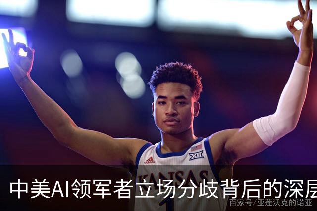 中美AI领军者立场分歧背后的深层原因